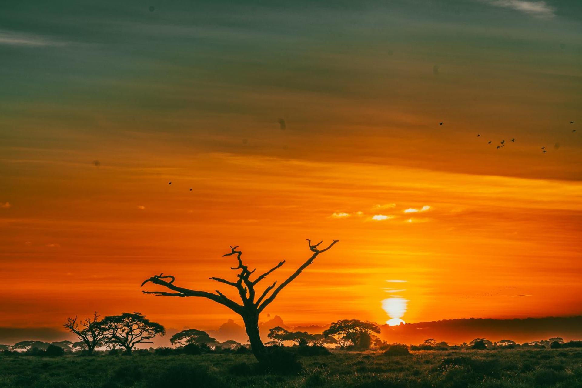 Kilimanjaro View Cabin-amboseli Oloitokitok